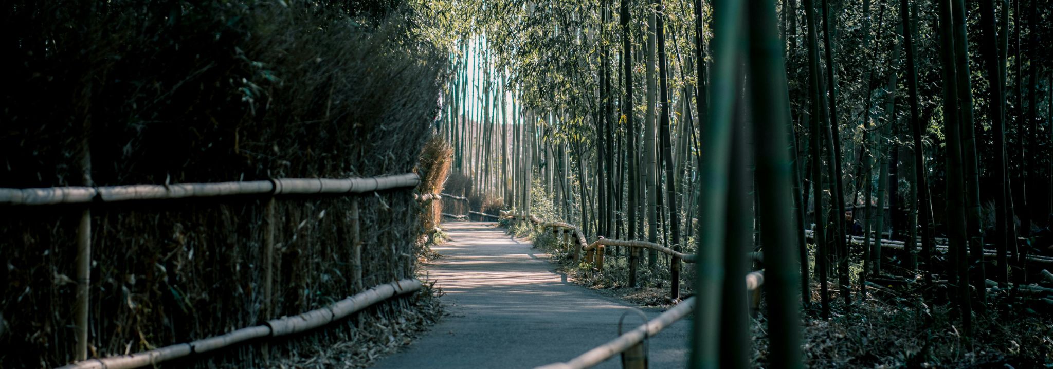 Know Patience Fragrance